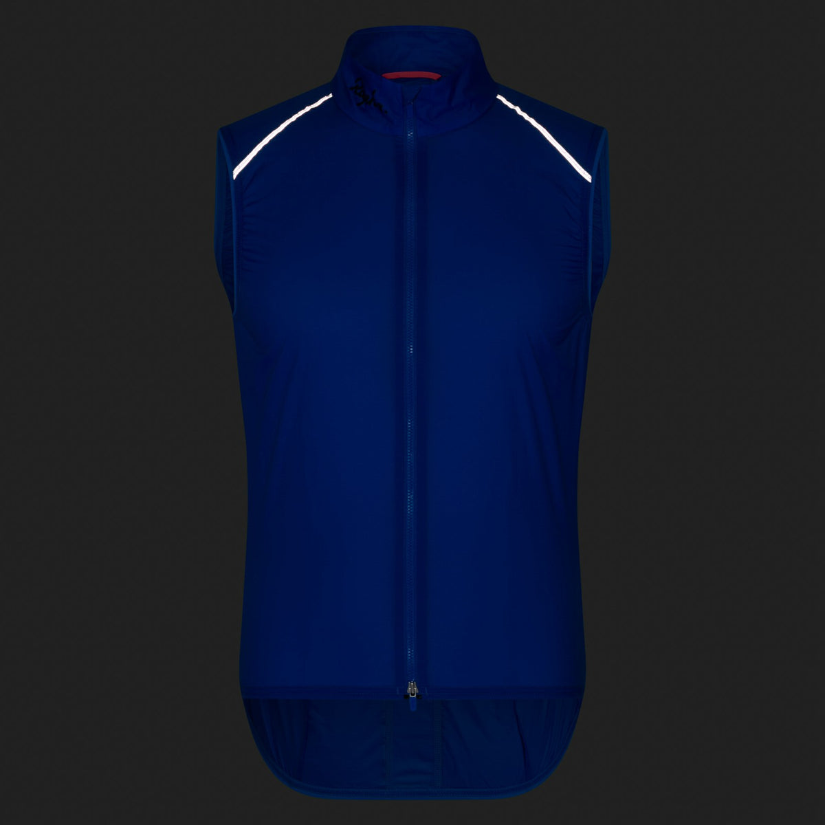 Brevet Element Wind Gilet