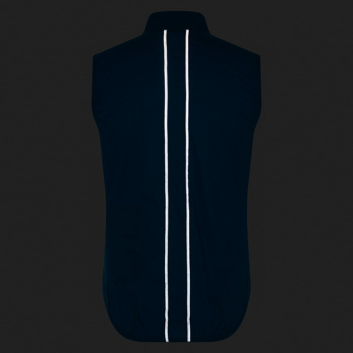 Brevet Element Wind Gilet
