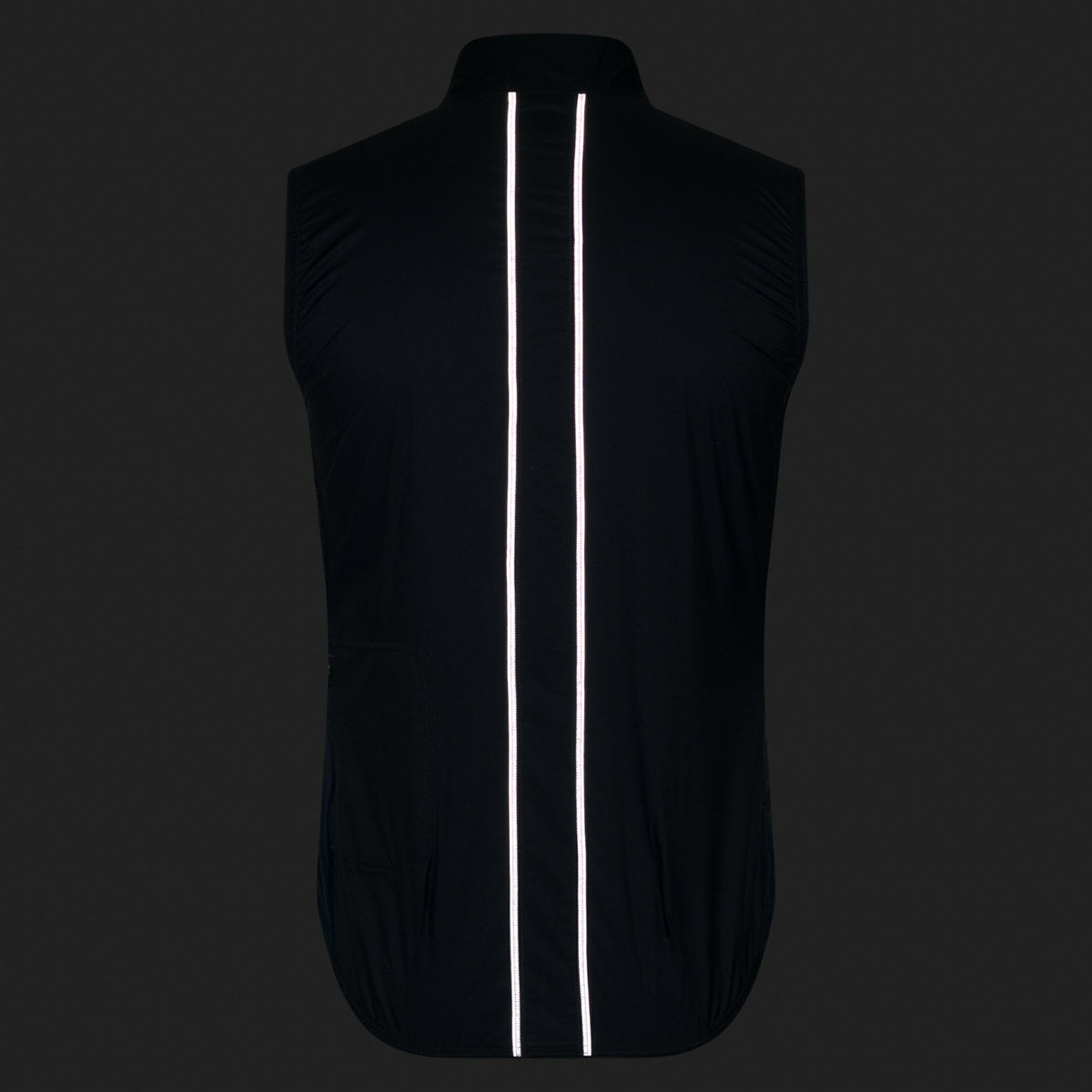 Brevet Element Wind Gilet