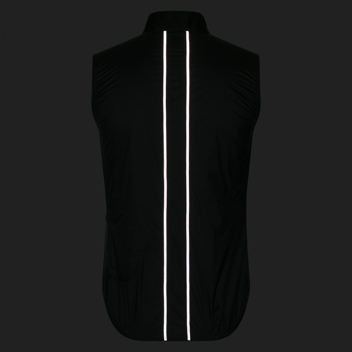 Brevet Element Wind Gilet