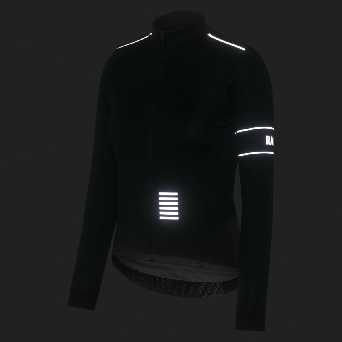 Pro Team LS Windstopper Jersey
