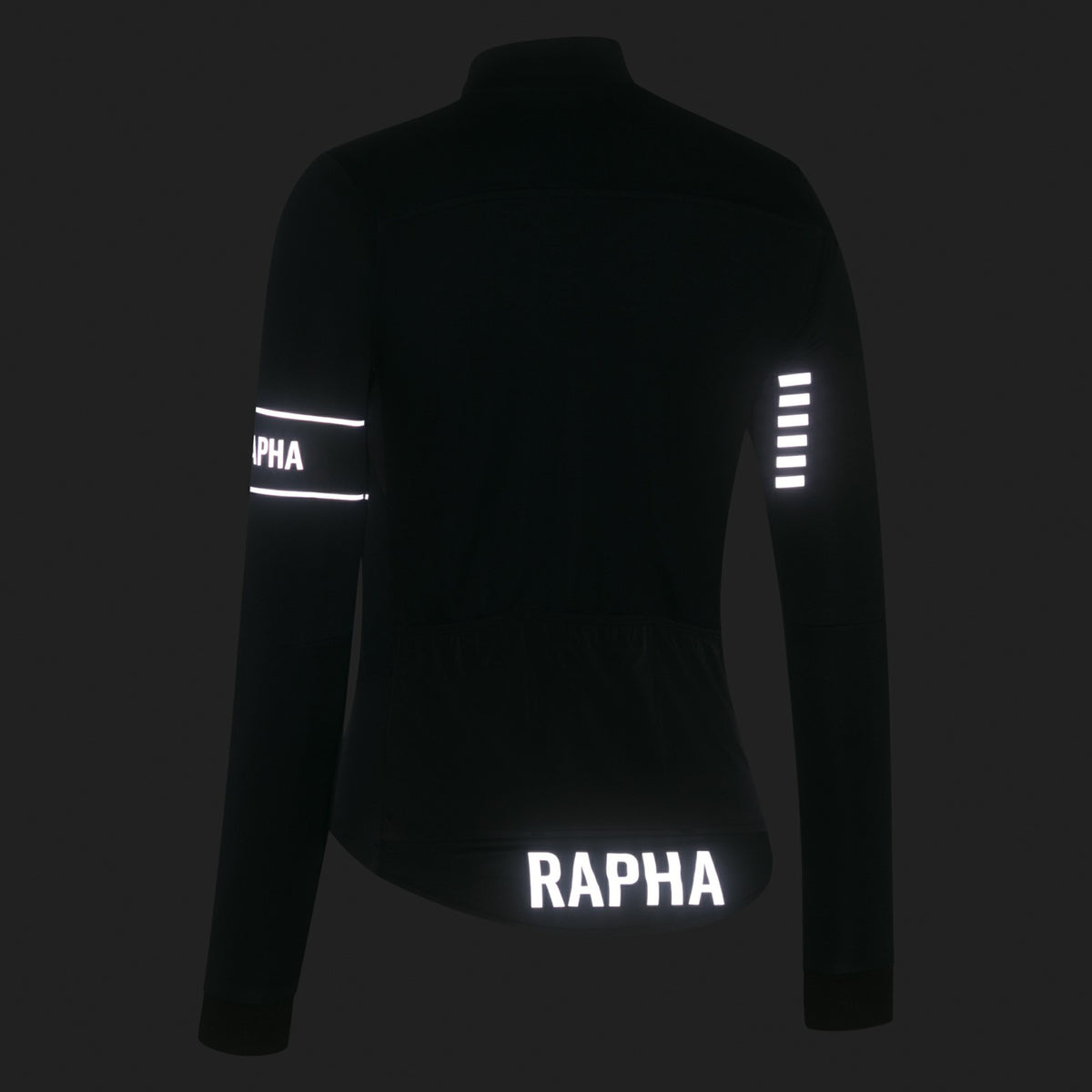 Pro Team LS Windstopper Jersey