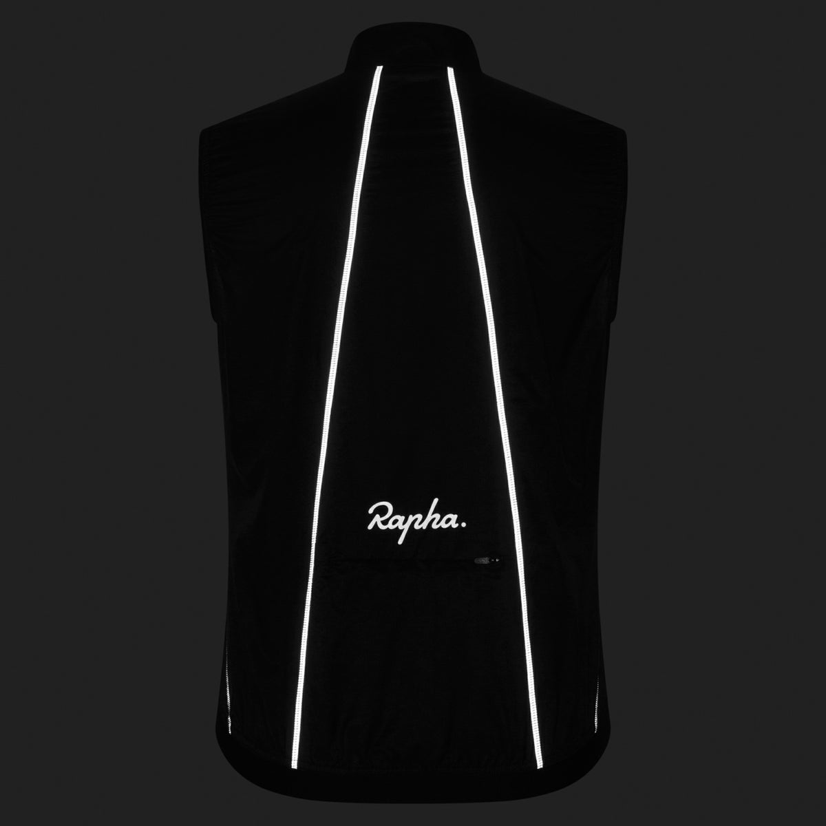 Brevet Element Wind Gilet