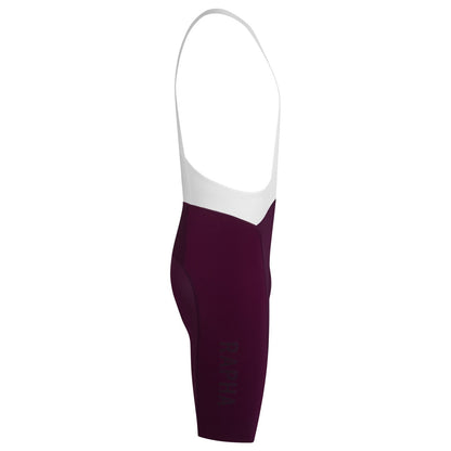 Pro Team Bib Shorts III - Regular