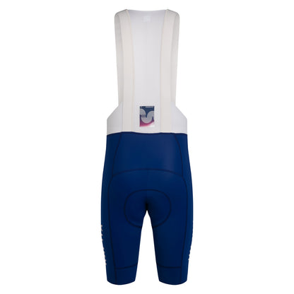 Pro Team Bib Shorts III - Storm