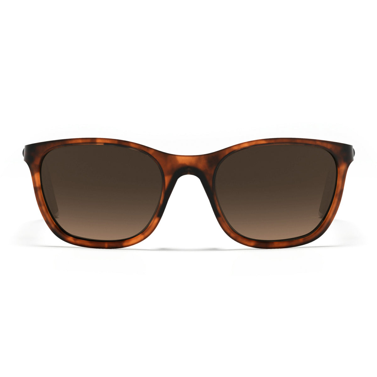 Aubisque Sunglasses