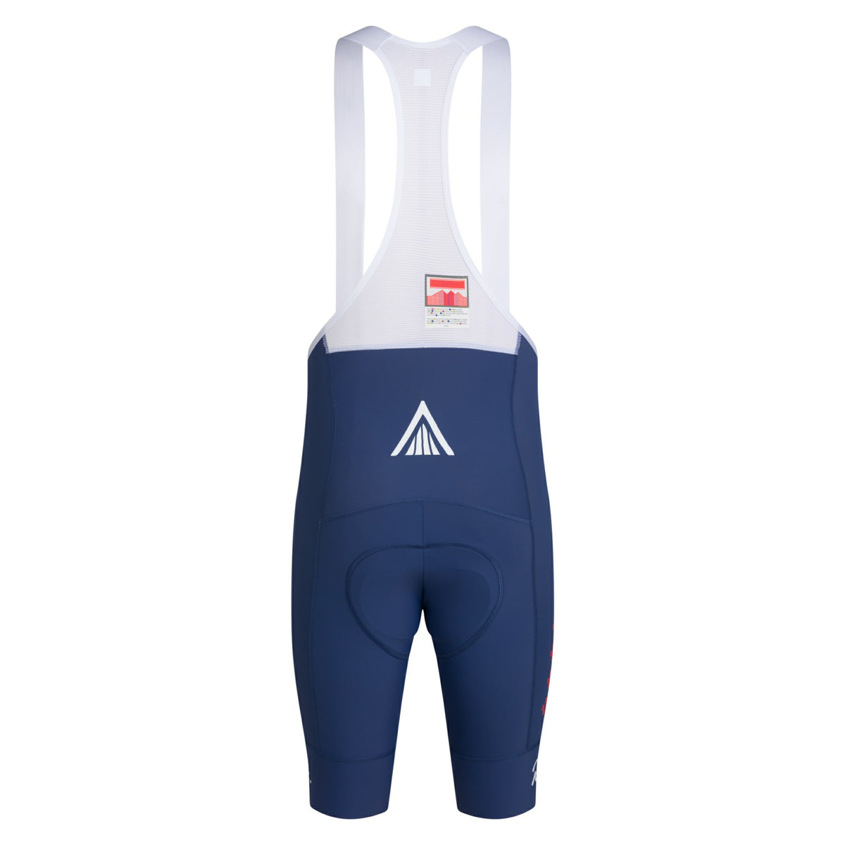 AMANI Pro Team Training Bib Shorts