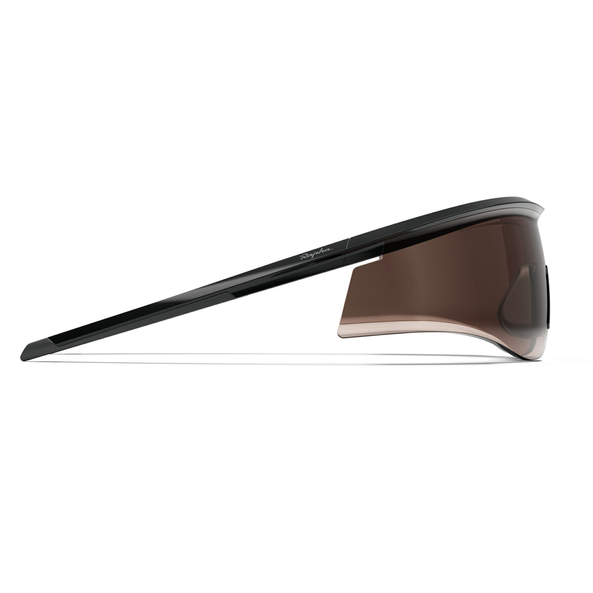 Reis Glasses