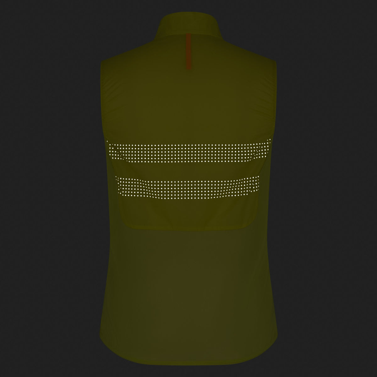 Brevet Wind Gilet III