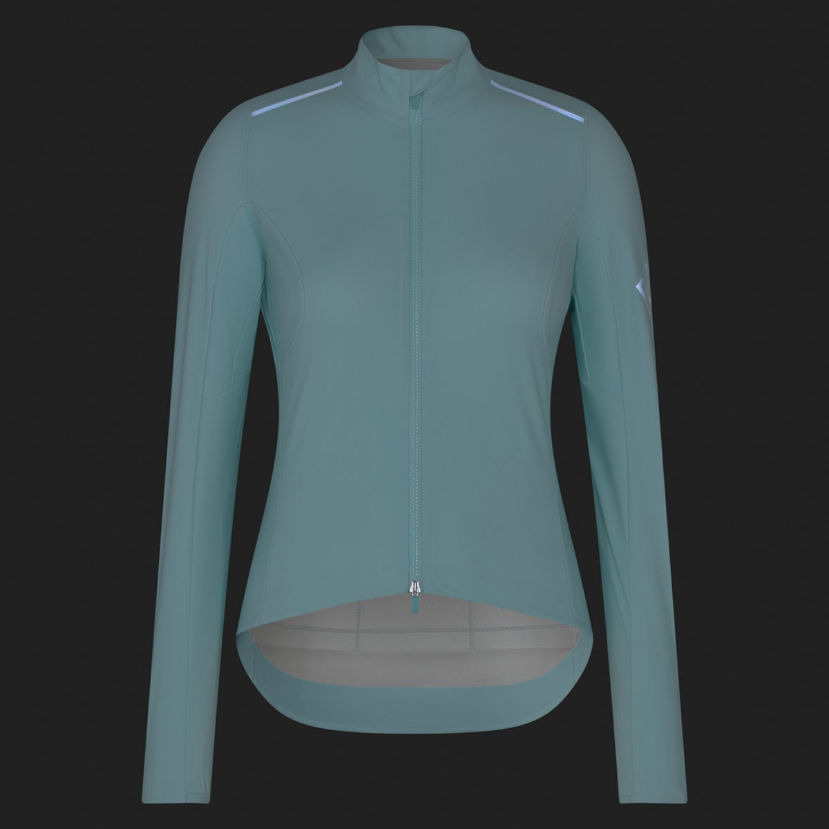 Pro Team Long Sleeve Shadow Jersey