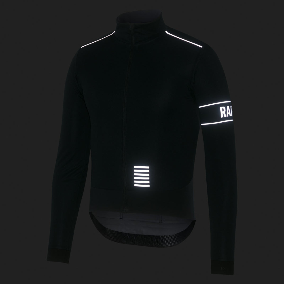Pro Team LS Windstopper Jersey