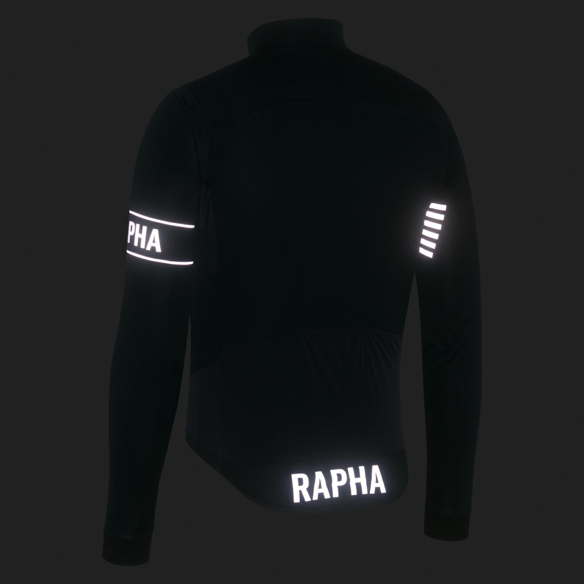 Pro Team LS Windstopper Jersey