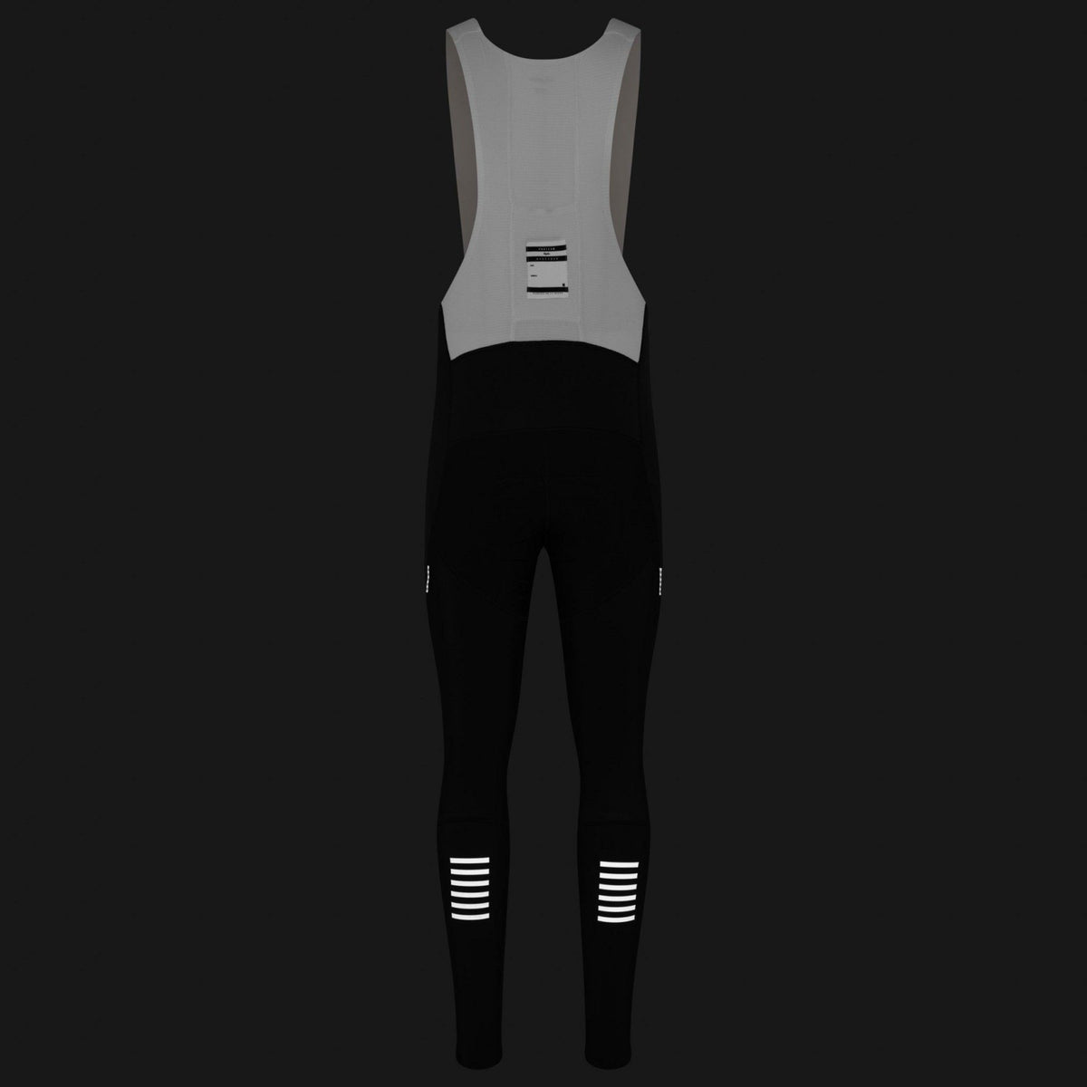 Pro Team Winter Tights with Pad II