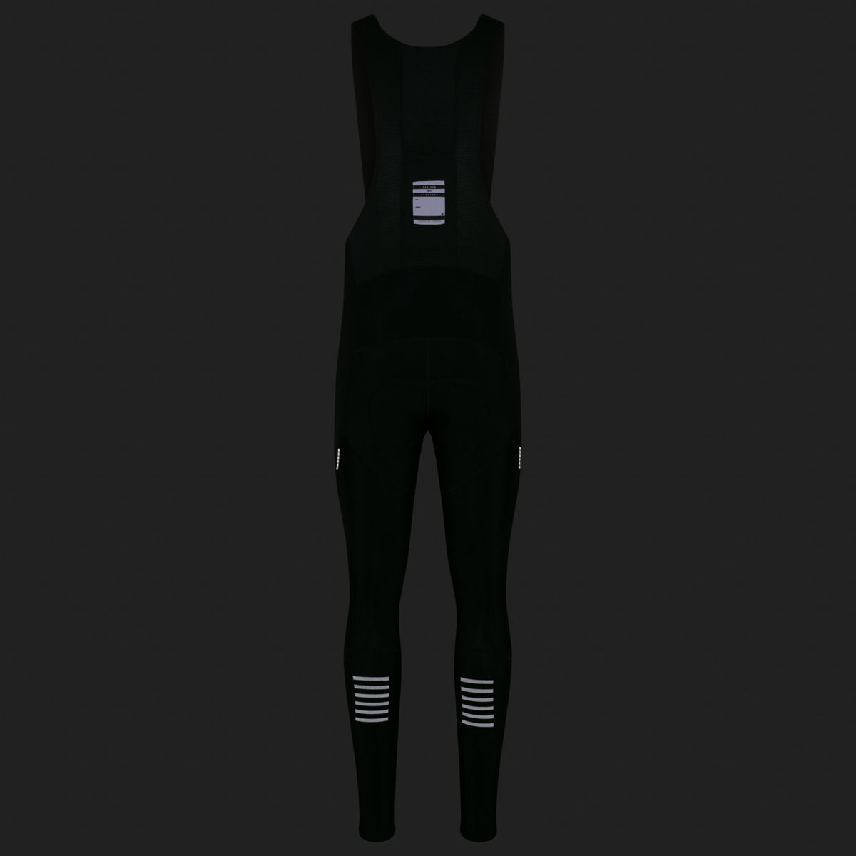Pro Team Winter Tights with Pad II